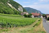 thumbnails/018-DSC_0133.JPG.small.jpeg