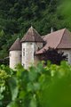 thumbnails/020-DSC_0139.JPG.small.jpeg