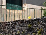 thumbnails/024-DSC_0151.JPG.small.jpeg