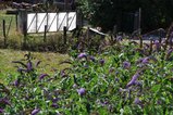 thumbnails/025-DSC_0153.JPG.small.jpeg