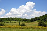 thumbnails/039-DSC_0192.JPG.small.jpeg