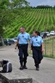 thumbnails/017-DSC_0240.JPG.small.jpeg