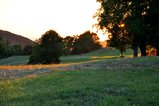thumbnails/008-DSC_0281.JPG.small.jpeg