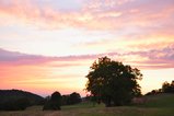 thumbnails/010-DSC_0289.JPG.small.jpeg