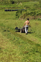 img24