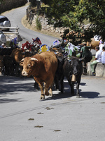 img3