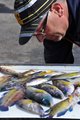 thumbnails/013-DSC_0175.JPG.small.jpeg