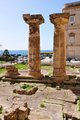 thumbnails/022-DSC_0209.JPG.small.jpeg