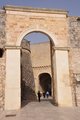 thumbnails/021-DSC_0392.JPG.small.jpeg