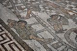 thumbnails/050-DSC_0431.JPG.small.jpeg