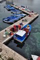 thumbnails/015-DSC_0587.JPG.small.jpeg