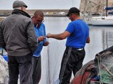 thumbnails/029-DSC_0620.JPG.small.jpeg