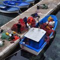 thumbnails/024-DSC_0586.JPG.small.jpeg