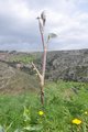 thumbnails/056-DSC_0734.JPG.small.jpeg