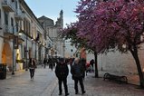 thumbnails/044-DSC_0833.JPG.small.jpeg