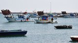 thumbnails/003-0-DSC_0004.JPG.small.jpeg