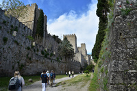 img1
