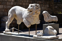 img20