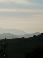 img97