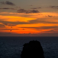 img21