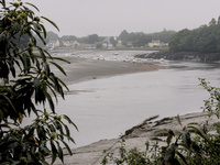 img74
