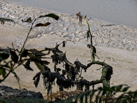 img77