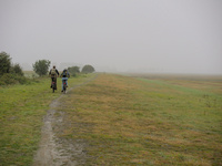 img15