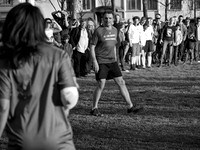 img8