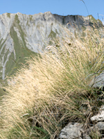 img47