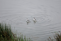 img47