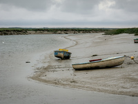 img6