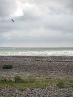 img16