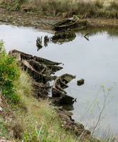 img4