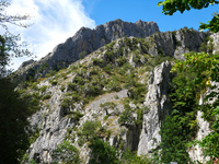 img20