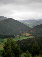 img42