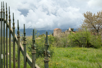 img45
