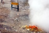picture thumbnail